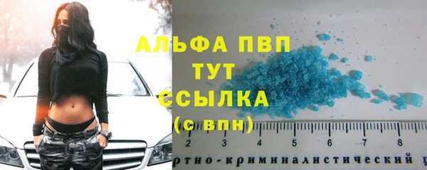 ALPHA PVP Няндома