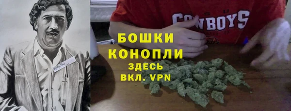 прущие грибы Нягань