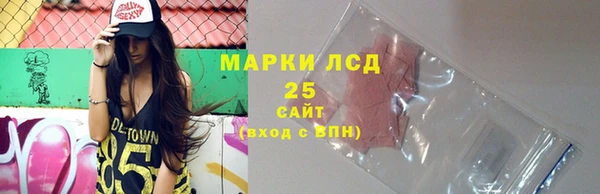 ALPHA PVP Няндома