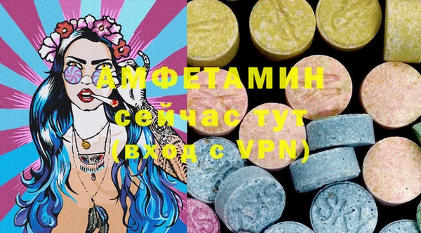 прущие грибы Нягань