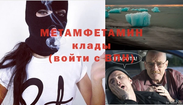 прущие грибы Нягань