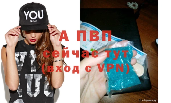 прущие грибы Нягань