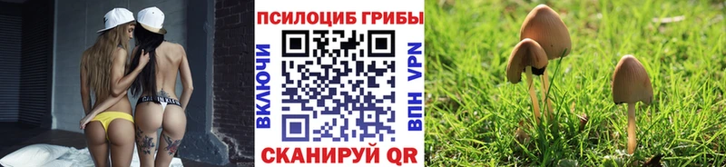KRAKEN ТОР  Саров  Галлюциногенные грибы ЛСД 