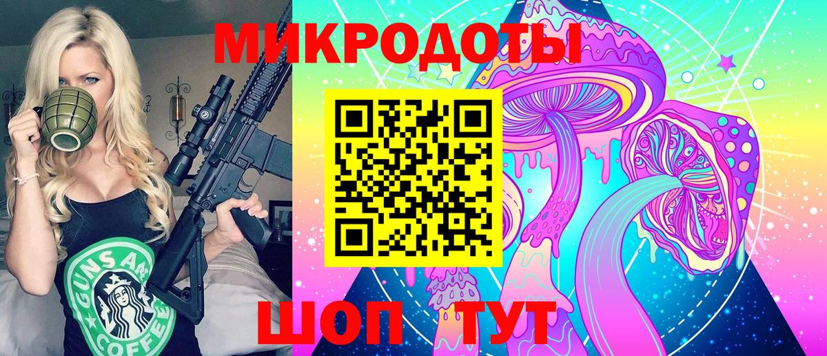 Галлюциногенные грибы Psilocybe Саров