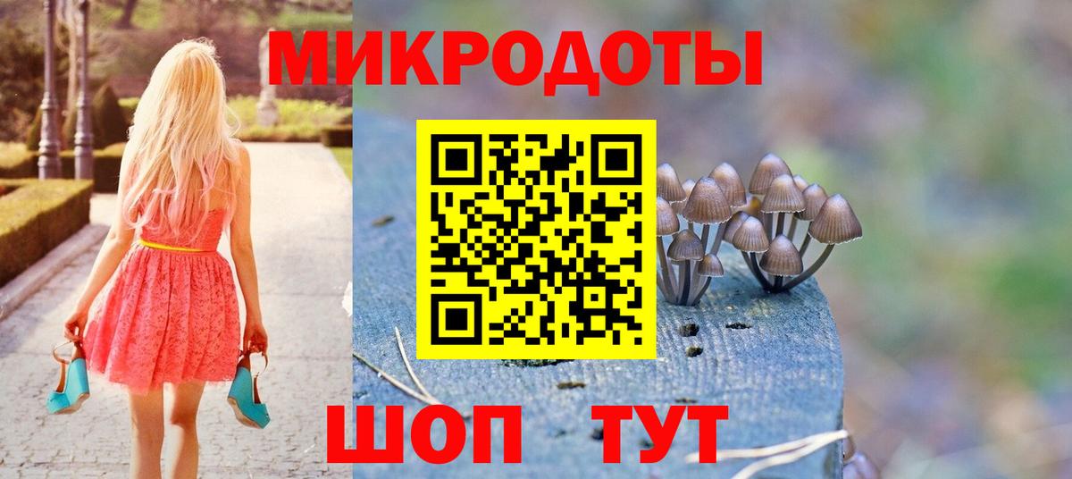 Галлюциногенные грибы Psilocybine cubensis  Саров  Галлюциногенные грибы мухоморы 