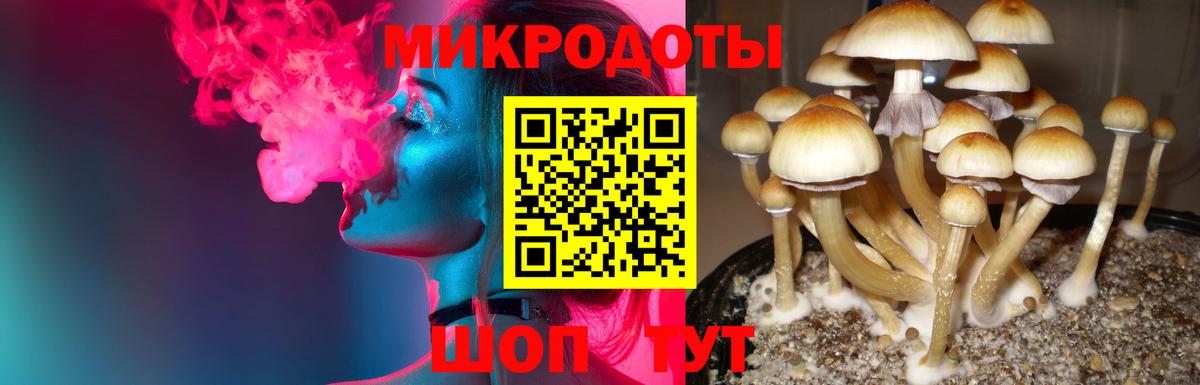 Псилоцибиновые грибы Cubensis Саров